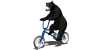 Bear with bicycle