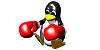 Boxer penguin